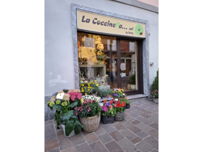 La Coccinella sul Fiore - Nerviano MI