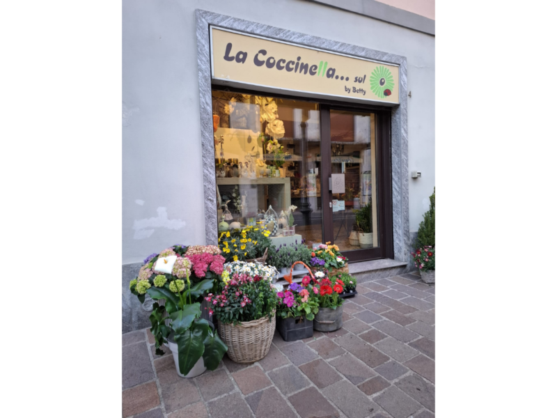 La Coccinella sul Fiore - Nerviano MI